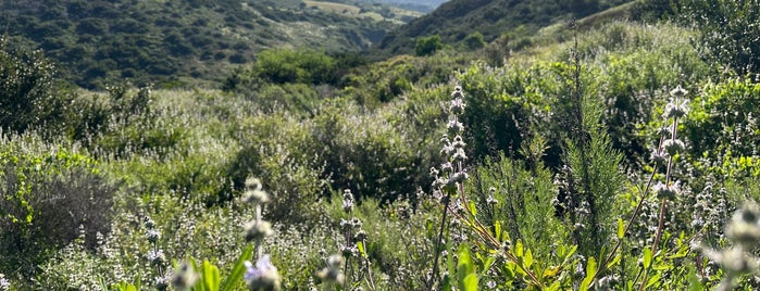 Los Peñasquitos Canyon Preserve (Sorrento Valley) is one of Southern California (CA).