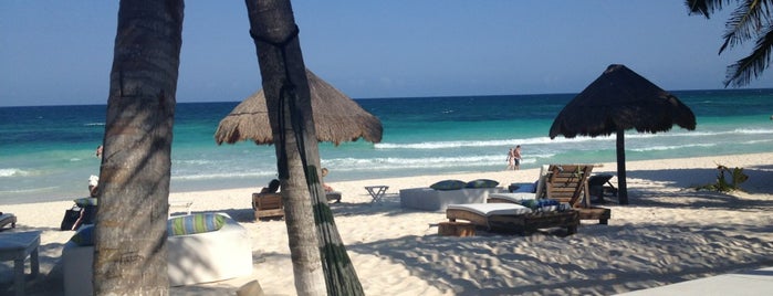 Luv Tulum is one of Fernanda's Saved Places.