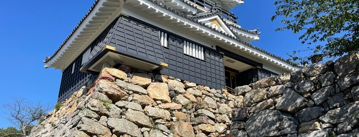 Hamamatsu Castle is one of 「どうする家康」ゆかりのスポット.