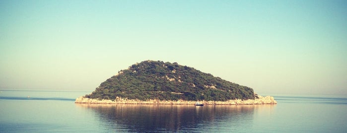 Sıçan Adası is one of Orte, die MUTLU gefallen.