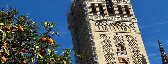 Patio de los Naranjos is one of Best of Seville.