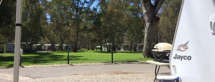 Clare Caravan Park is one of Williamさんのお気に入りスポット.
