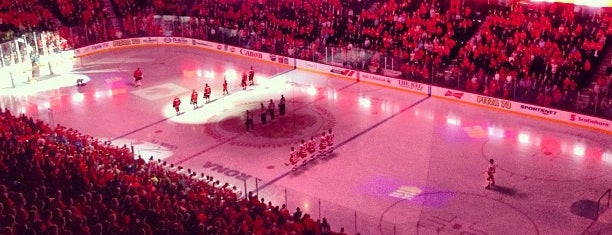 Scotiabank Saddledome is one of MLS - NHL - NFL.