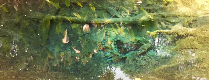 Bua Tong Waterfalls is one of Chaing Mai (เชียงใหม่).