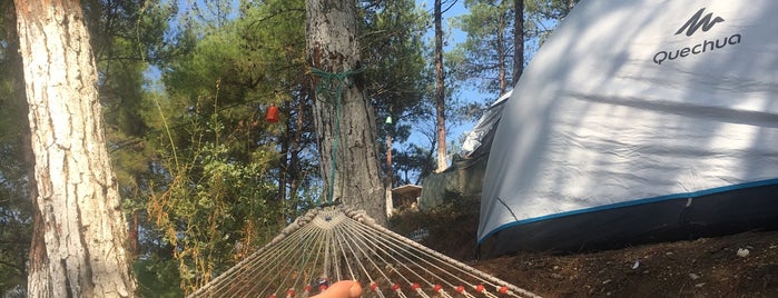 Dolmuş Camping is one of Kamp Alanları.
