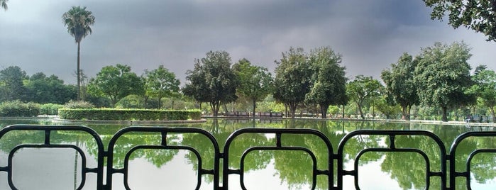 Parque Amate is one of Seville.