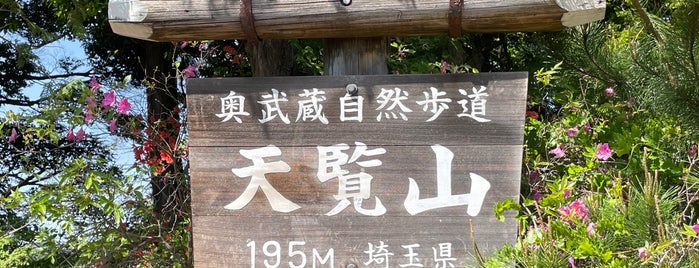 天覧山山頂 is one of 日本の🗻ちゃん(⌒▽⌒).