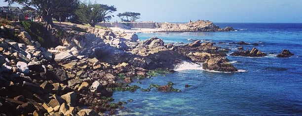 City of Monterey is one of Left Coast 2014.