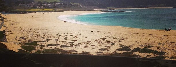 Carmel River State Beach is one of CA-101 Roadtrip.