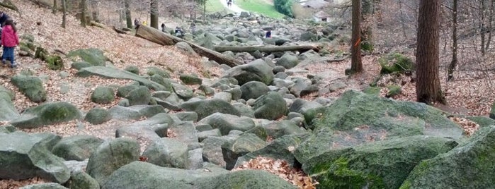 Felsenmeer is one of Hotspots Hessen | Berge, Seen & Natur.