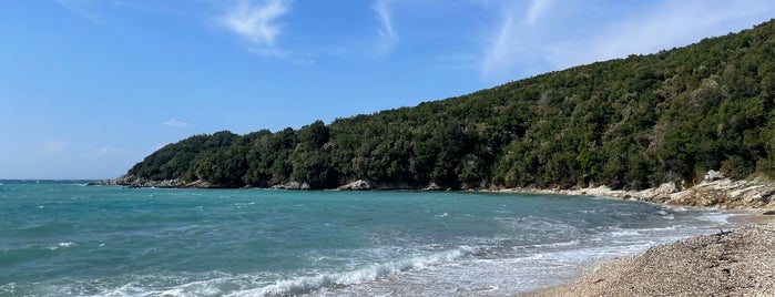 Avlaki Beach is one of Corfu By Nik.