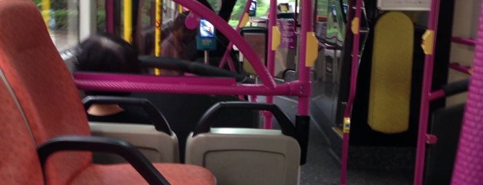 SBS Transit: Bus 166 is one of TPD "The Perfect Day" Bus Routes (#01).