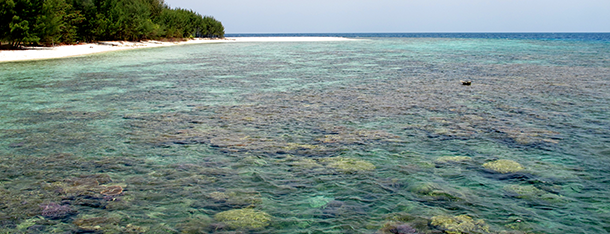 Pulau Menjangan Kecil is one of Karimunjawa, Indonesia.