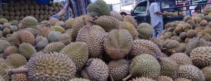 Ucok Durian is one of Best Culinary and Favorite Gift in Medan.