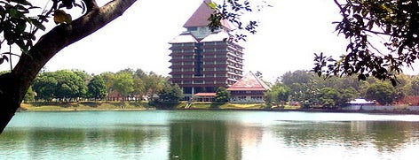 Danau Universitas Indonesia is one of 1 Day 2 Go!.