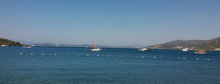 The Marmara Bodrum Beach Club is one of Bitti.