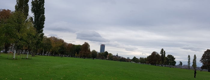 Rheinpark is one of #DüsseldorfEntdecken - Die besten Orte.