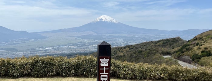 富士見ヶ丘公園 is one of 横浜周辺のハイキングコース.