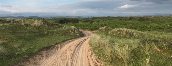 Braunton Burrows is one of Bude.