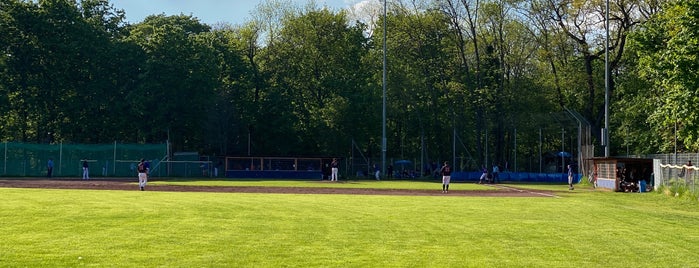 Baseballplatz Freudenau is one of Prater Tour.