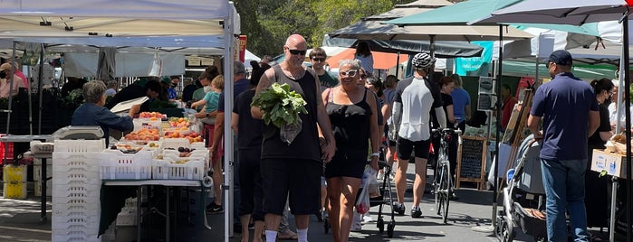 Los Gatos Farmers' Market is one of My BEST of the BEST!.