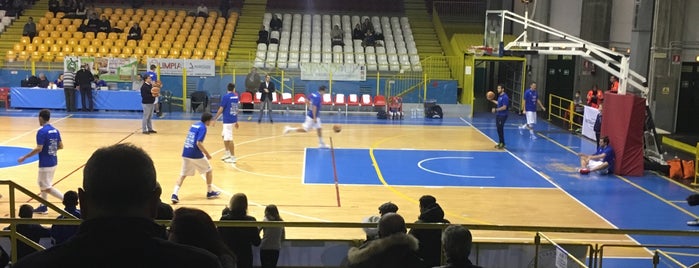 PalaRavizza is one of Basketball Arenas.