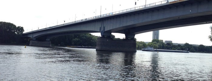 Konrad-Adenauer-Brücke is one of Orte, die Maike gefallen.
