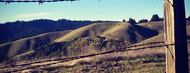 Windy Hill Open Space Preserve is one of Parks and open spaces.