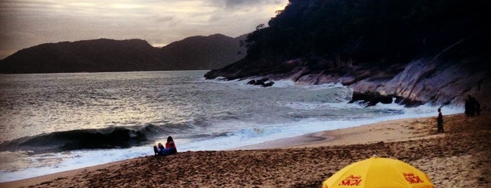 Ubatuba is one of สถานที่ที่บันทึกไว้ของ Leonardo.