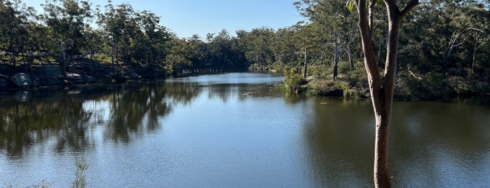 Lake Parramatta Reserve is one of Tempat yang Disukai Morris.