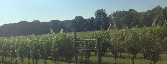 Boordy Vineyards is one of Parks, Gardens & Wineries.