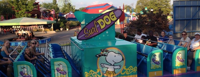 Surf Dog is one of kings island.