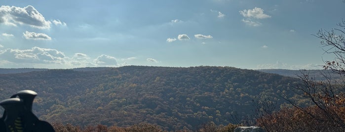 Catoctin Mountain Park is one of National Parks.