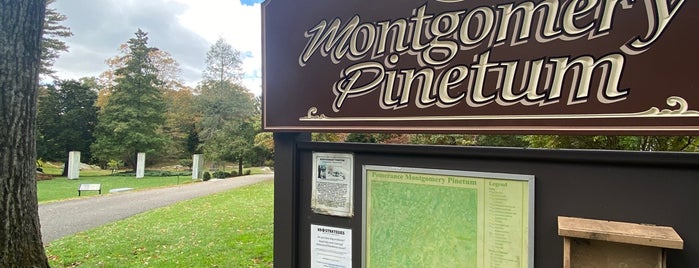 Montgomery Pinetum is one of Hiking.