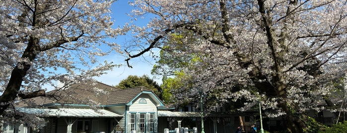 山手公園 is one of 横浜の花見スポット.
