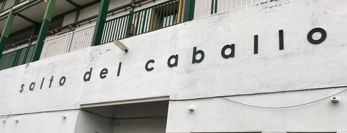 Estadio de Fútbol Salto del Caballo is one of Estadios.