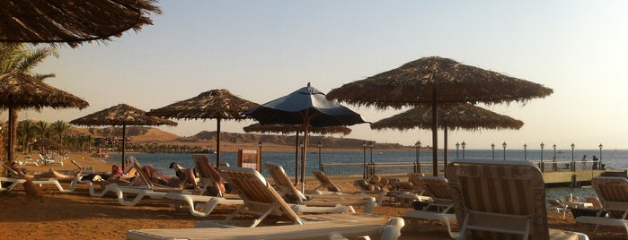 Red Sea is one of Best places in Aqaba, Jordan.