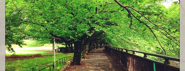 祖師谷公園 is one of Parks & Gardens in Tokyo / 東京の公園・庭園.