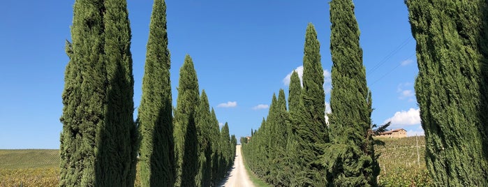 Foresteria Villa Cerna is one of Posti salvati di Adolfo.