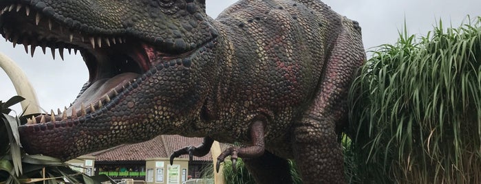 Dinosaur Adventure Park is one of Best Things To Do In Norwich.