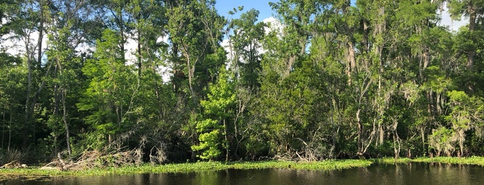 Bayou Barn is one of USA.