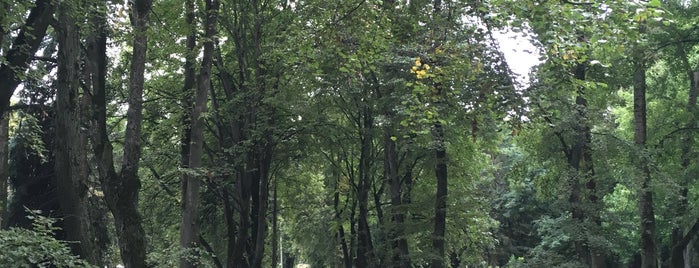 Парк имени Марата Казея is one of места на свежем воздухе.