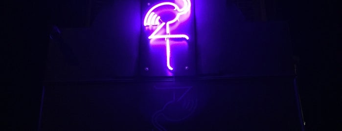 Black Flamingo is one of NYC - Clubs / Venues.