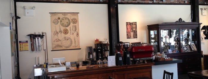 Morbid Anatomy Museum is one of NYC: Newest Indie Cafes and Coffee Shops.