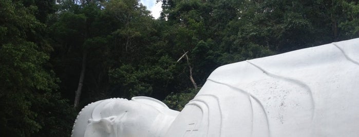 Buddha Statue (49 meters) is one of Lugares favoritos de Federico.