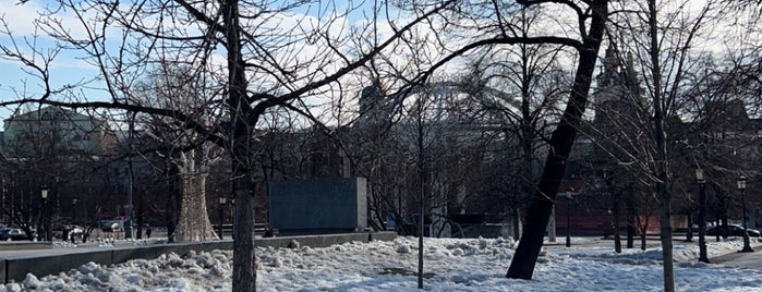 Памятник первопечатнику Ивану Фёдорову is one of Посещённые достопримечательности Москвы.