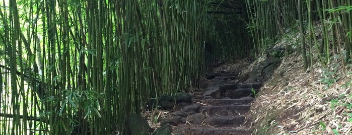 Pipiwai Trail is one of Maui, HI 2016.