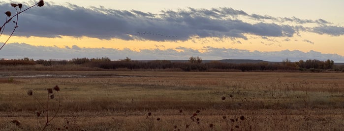 Bosque del Apache is one of Krzysztofさんのお気に入りスポット.