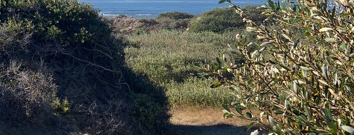 Año Nuevo Island is one of PCH.