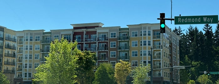 Downtown Redmond is one of Seattle area municipalities.